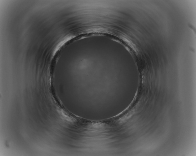 X0000097791117200803071406