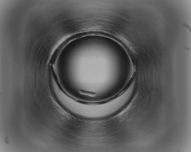 X0000097791118200803071406