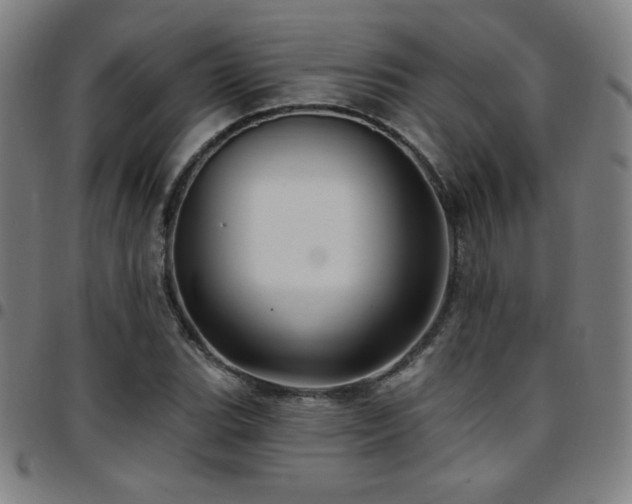 X0000097791119200803071406