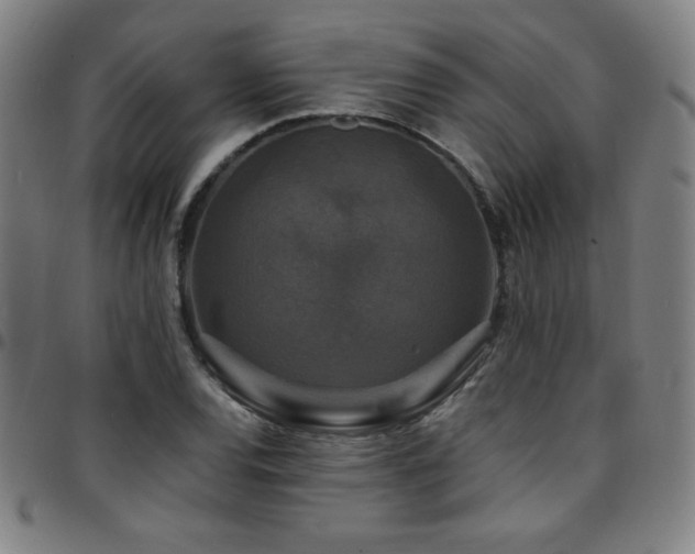 X0000097791120200803071406
