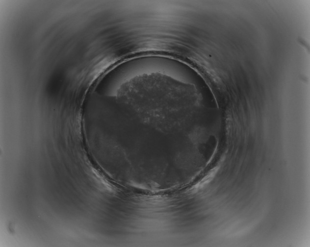 X0000097791121200803071406
