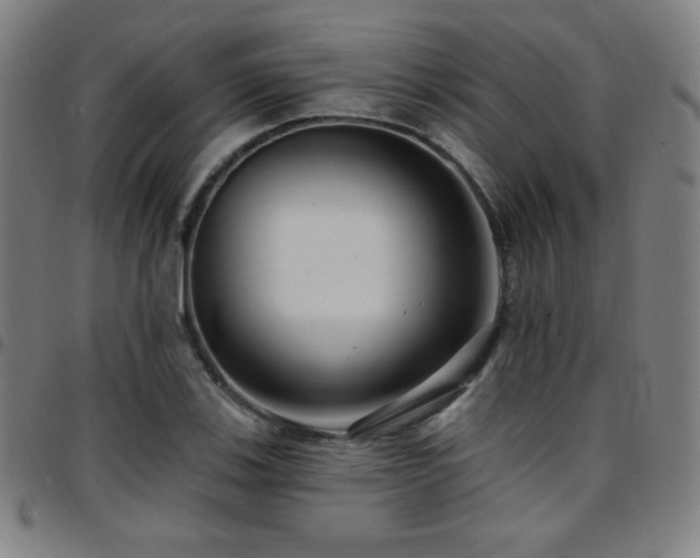 X0000097791123200803071406