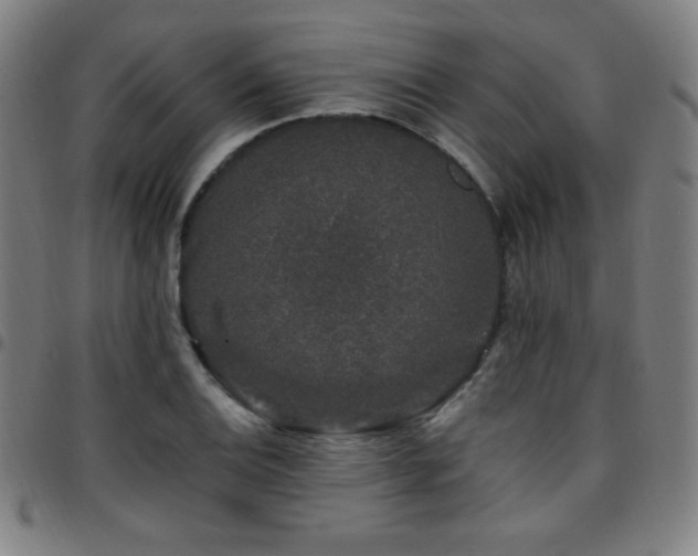 X0000097791124200803071406