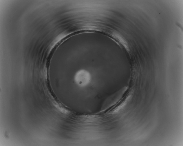 X0000097791125200803071406