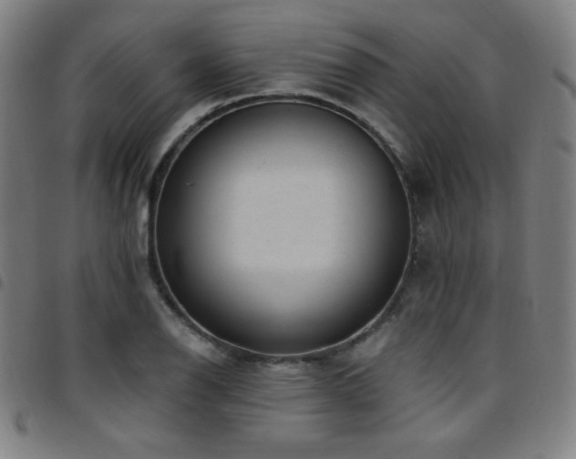 X0000097791126200803071406