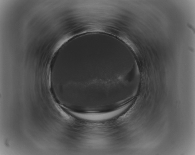 X0000097791127200803071406