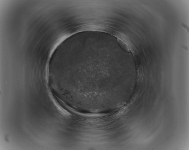 X0000097791128200803071406