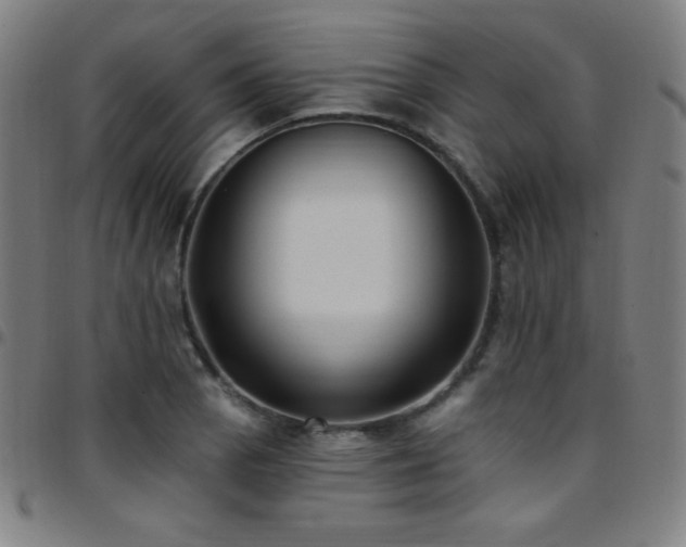 X0000097791129200803071406