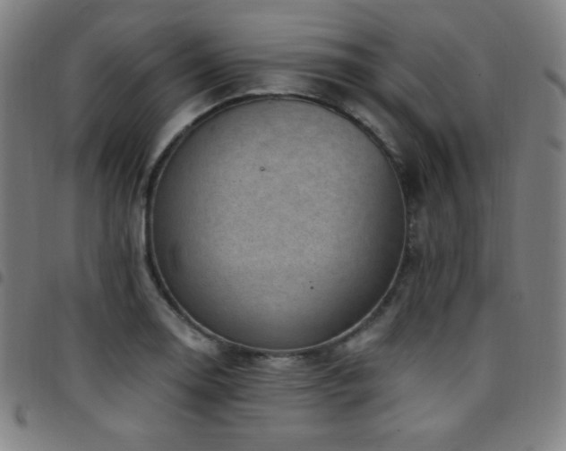 X0000097791130200803071406