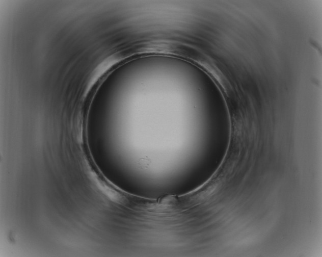 X0000097791131200803071406