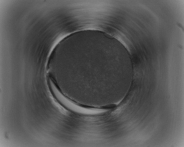 X0000097791132200803071406