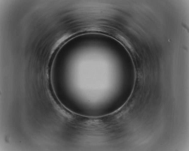 X0000097791133200803071406