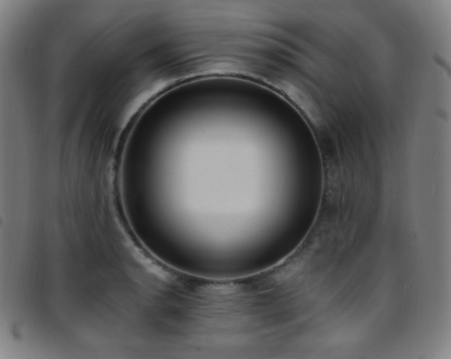 X0000097791134200803071406