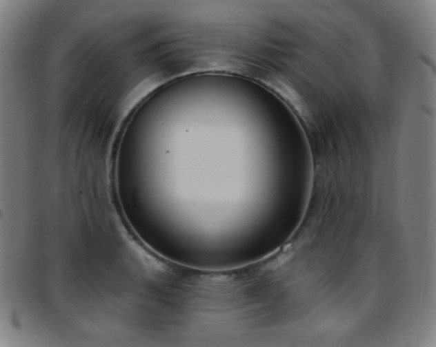 X0000097791135200803071406