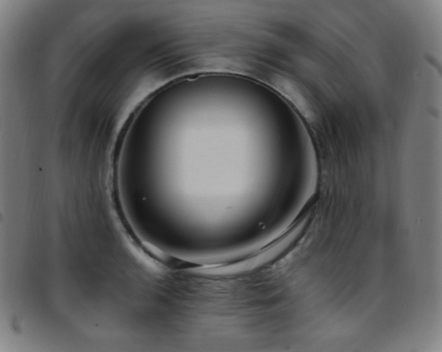 X0000097791136200803071406