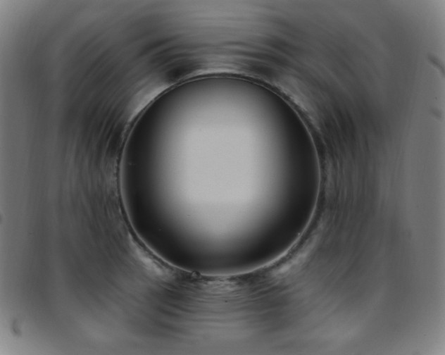 X0000097791137200803071406