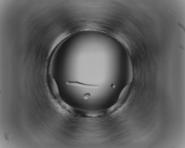 X0000097791138200803071406