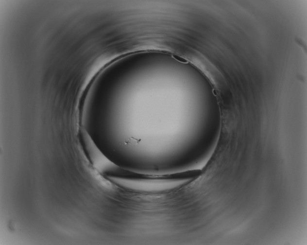 X0000097791140200803071406