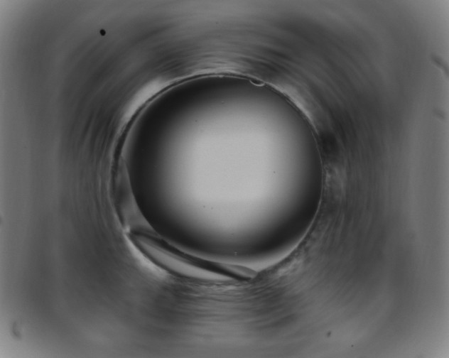 X0000097791143200803071406