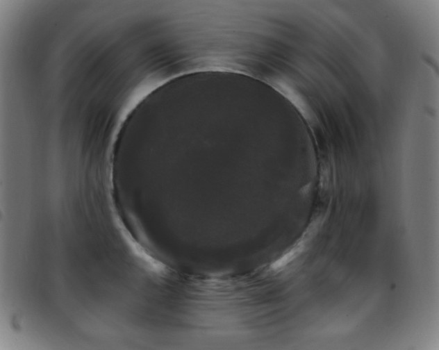 X0000097791144200803071406