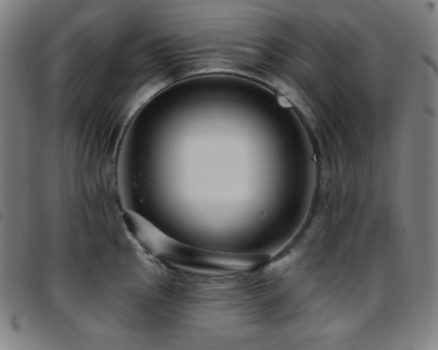 X0000097791145200803071406