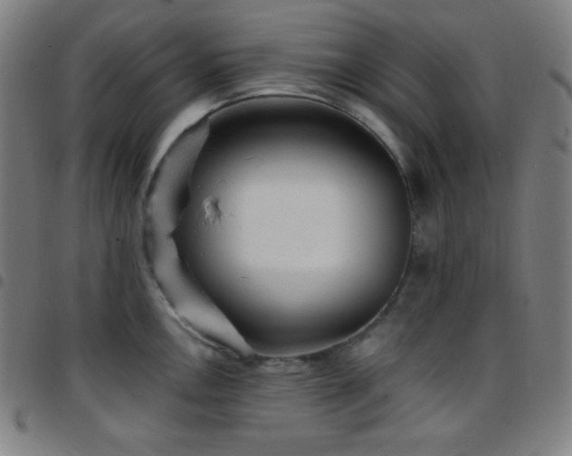 X0000097791146200803071406