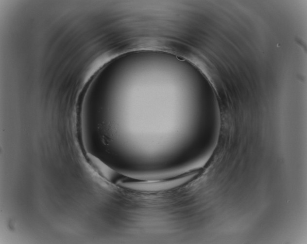 X0000097791147200803071406