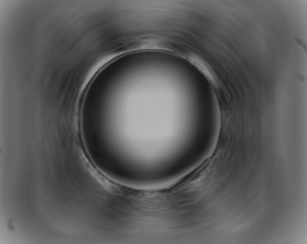X0000097791148200803071406