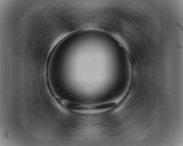 X0000097791149200803071406