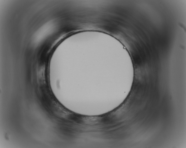 X0000097791150200803071406