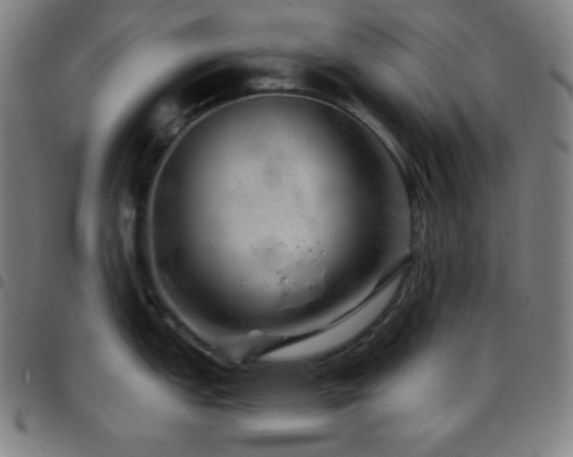 X0000097791151200803071406