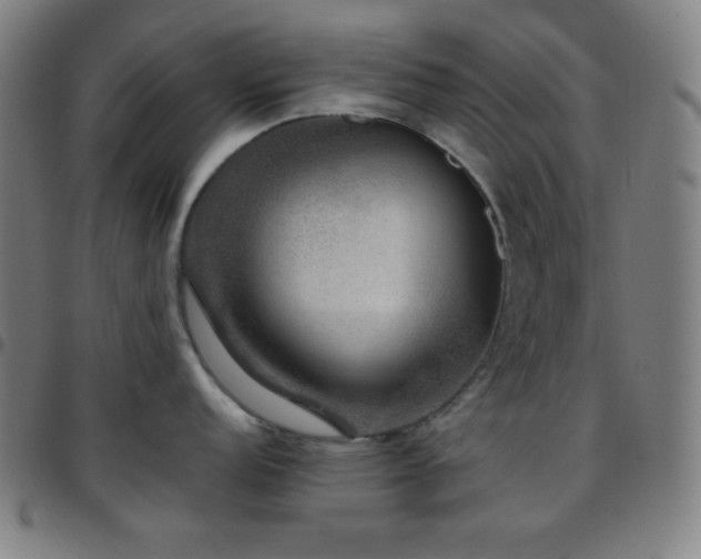 X0000097791152200803071406
