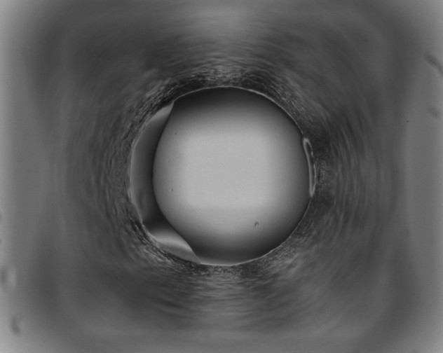 X0000097791153200803071406