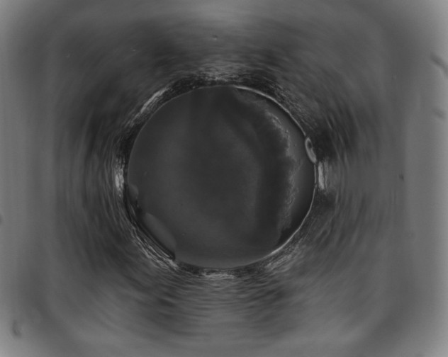 X0000097791155200803071406