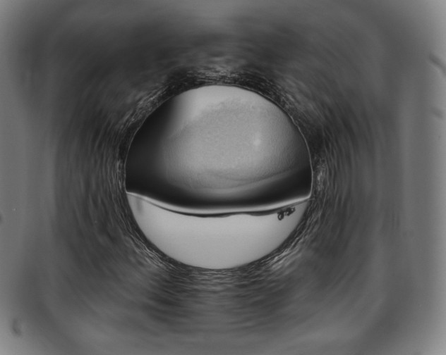 X0000097791156200803071406