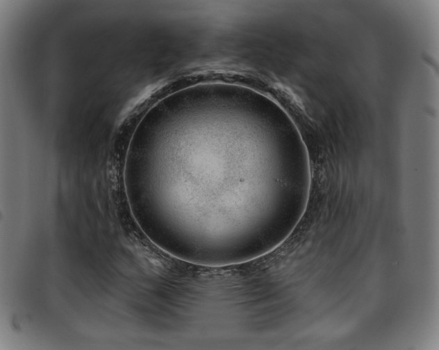 X0000097791159200803071406