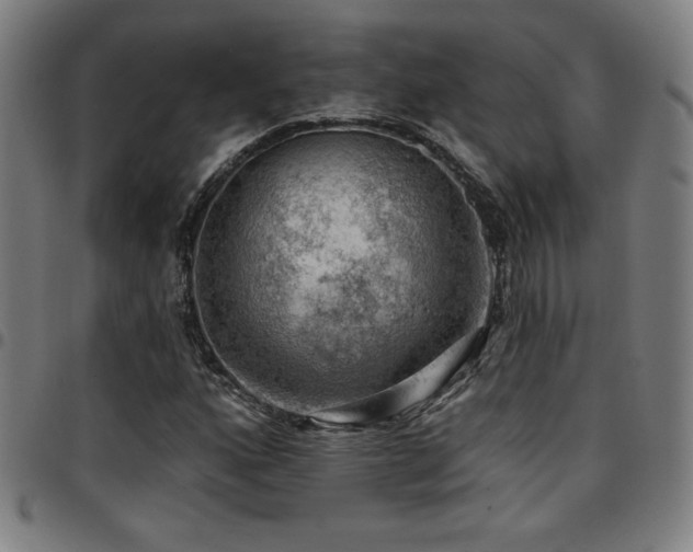 X0000097791160200803071406