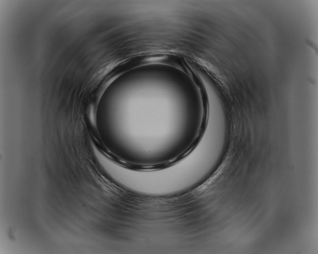 X0000097791161200803071406