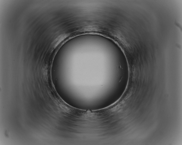 X0000097791162200803071406