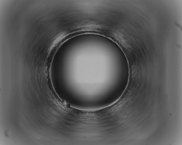 X0000097791164200803071406