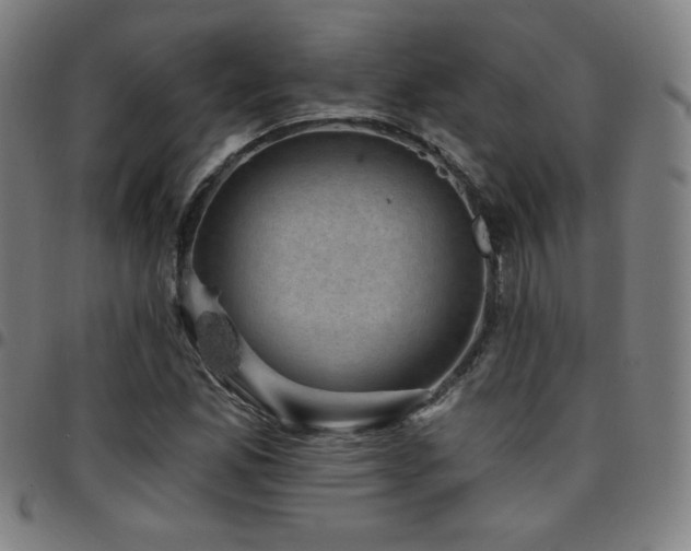 X0000097791165200803071406