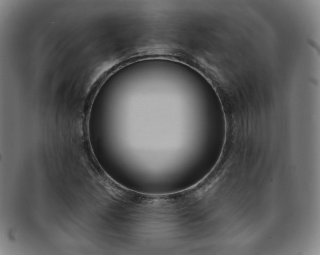 X0000097791166200803071406