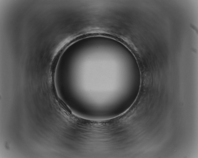 X0000097791167200803071406