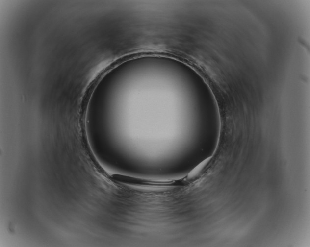 X0000097791168200803071406