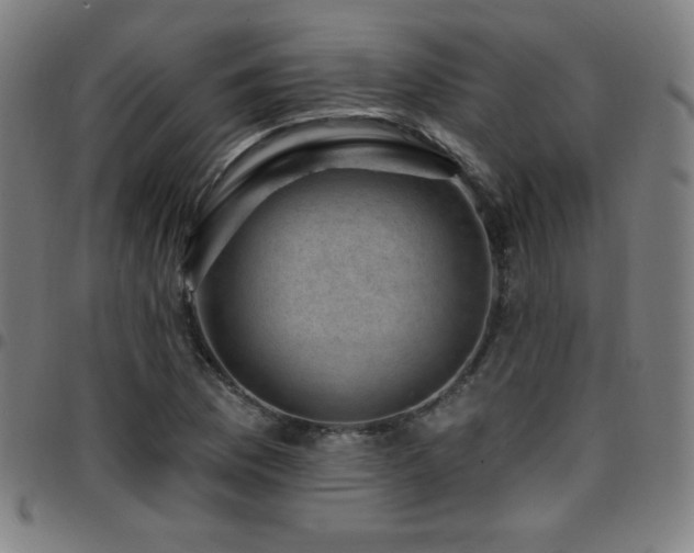 X0000097791169200803071406
