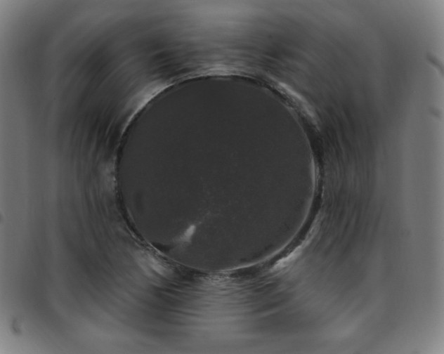 X0000097791170200803071406
