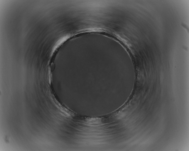 X0000097791171200803071406
