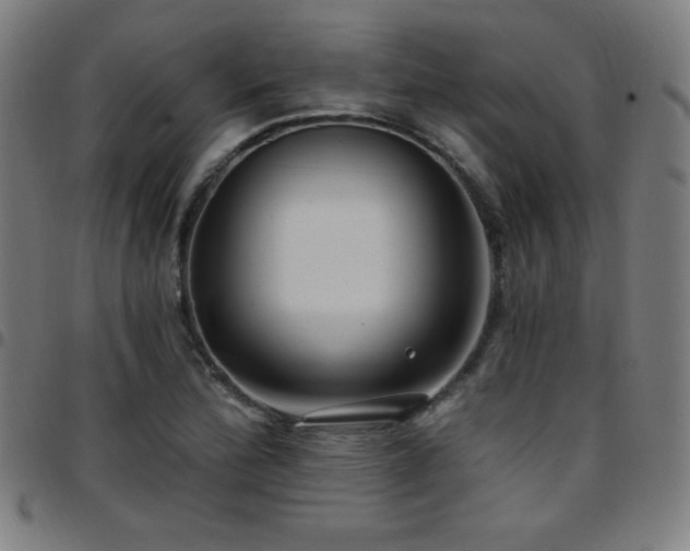 X0000097791172200803071405