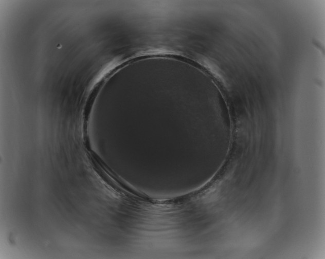 X0000097791173200803071405