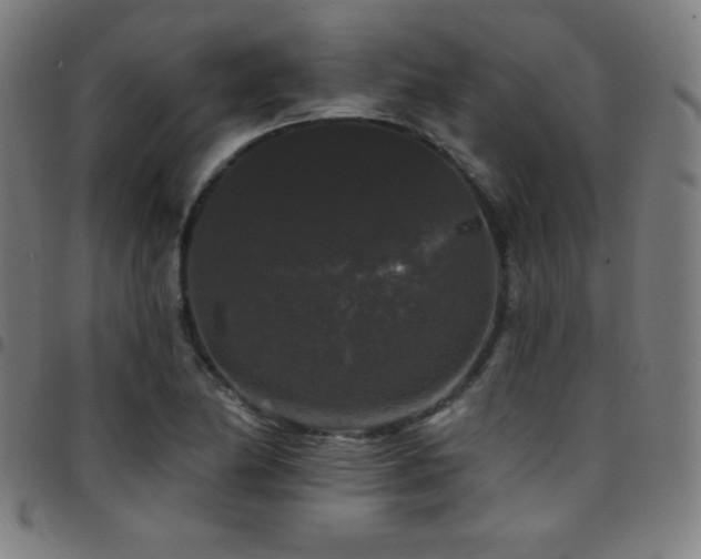 X0000097791174200803071405